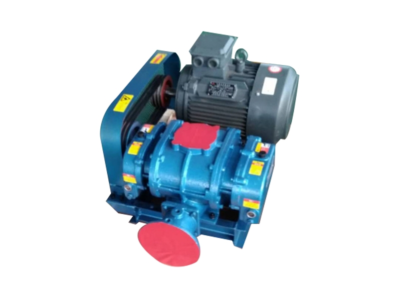 標(biāo)準(zhǔn)型羅茨風(fēng)機(jī)