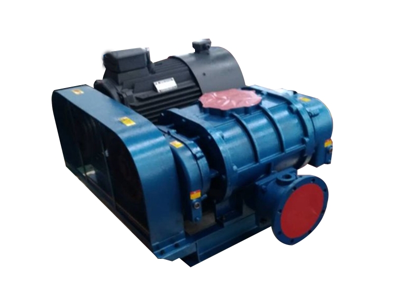 200羅茨風(fēng)機(jī)